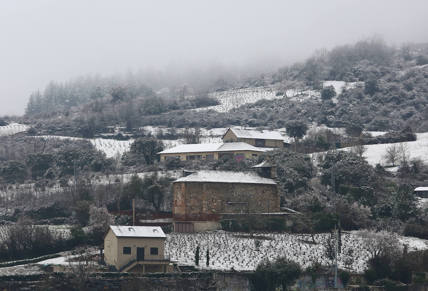 El temporal ha permitido que la capital berciana se tiñera de blanco en la mañana de este sábado